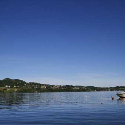 Viverone